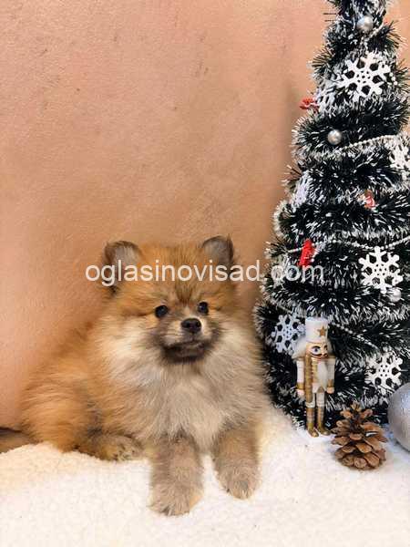 viber_image_2025-12-08_20-35-18-960