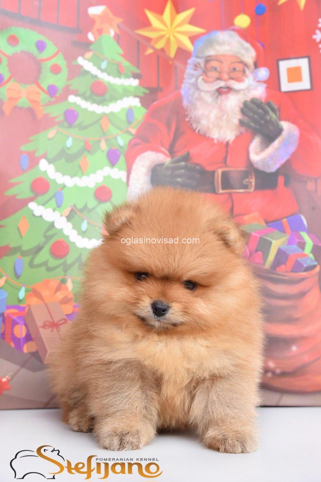 viber_image_2025-12-15_20-50-07-280