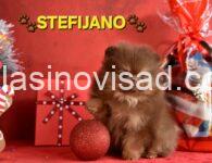 viber_image_2025-12-23_19-28-48-207