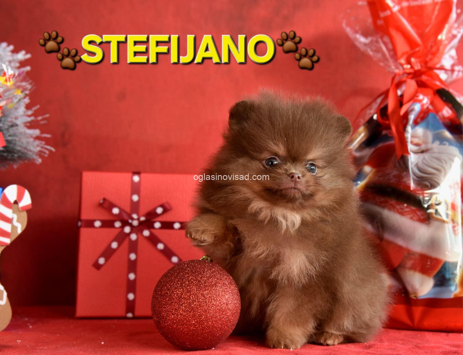 viber_image_2025-12-23_19-28-48-207