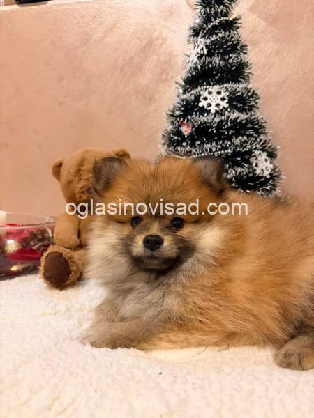 viber_image_2025-12-08_20-33-55-973