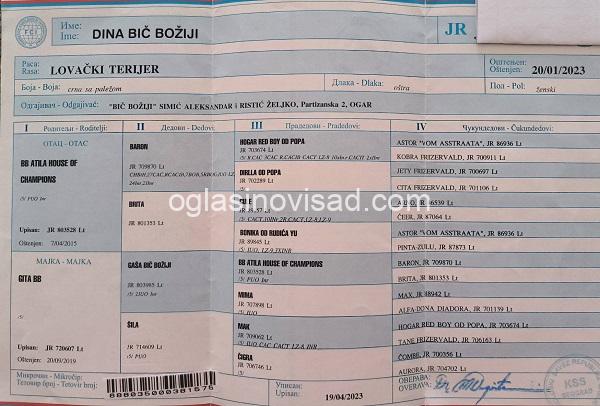 9  nltMC1225