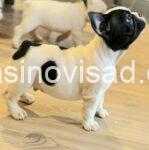 viber_image_2025-11-25_18-24-01-634-1018x1024