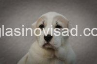 073ad8d9-4dc4-4199-8437-1f2a6d14b36f