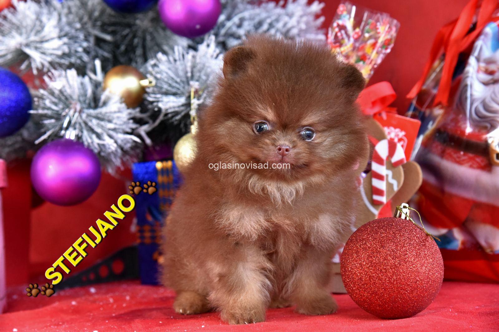 viber_image_2026-01-18_18-25-33-387