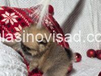 viber_image_2026-01-02_21-16-05-501