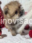 viber_image_2026-01-02_21-16-05-699