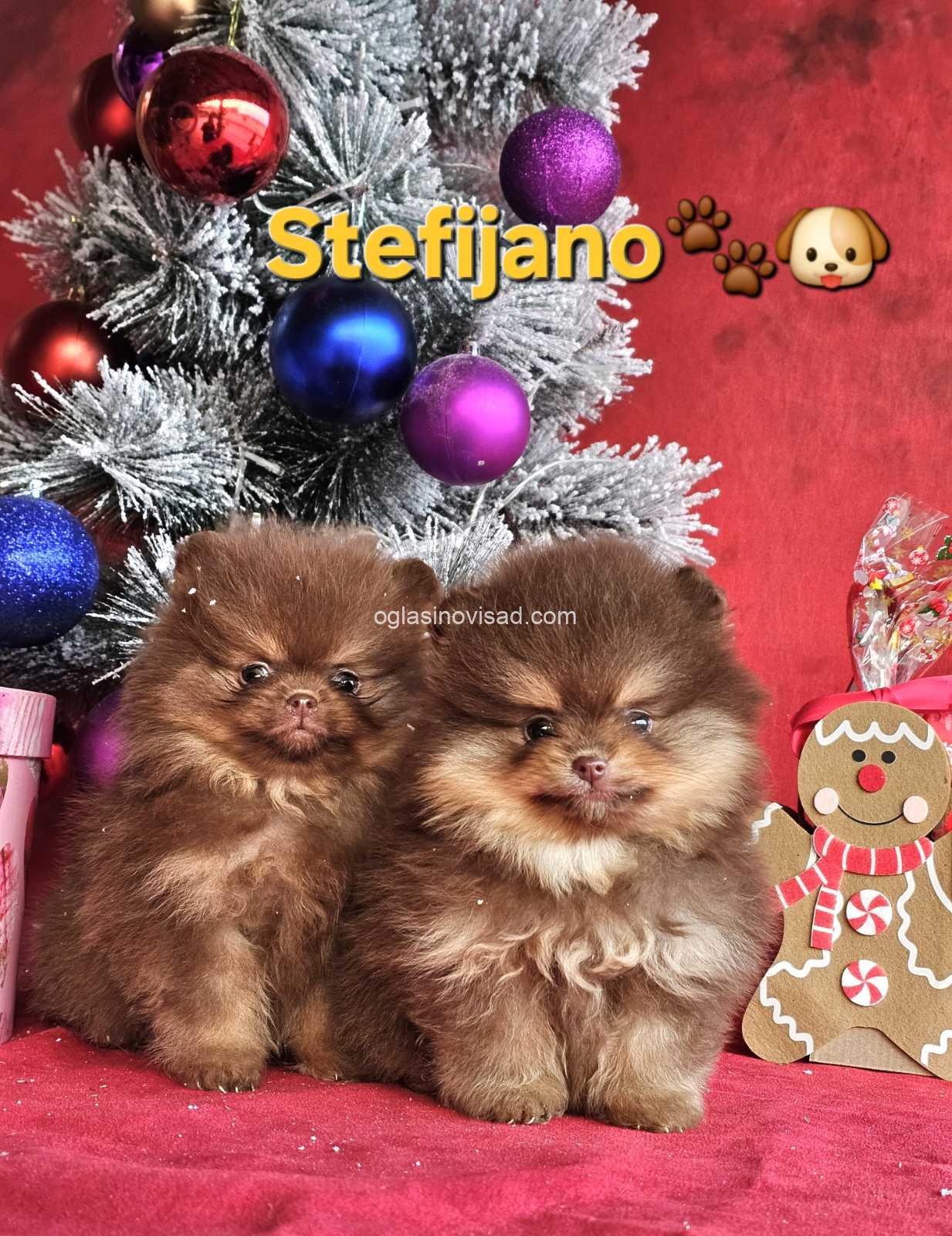 viber_image_2025-12-23_19-28-48-345