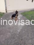 viber_image_2026-02-22_10-28-50-573