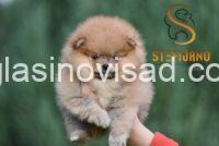viber_image_2026-02-27_09-57-26-028