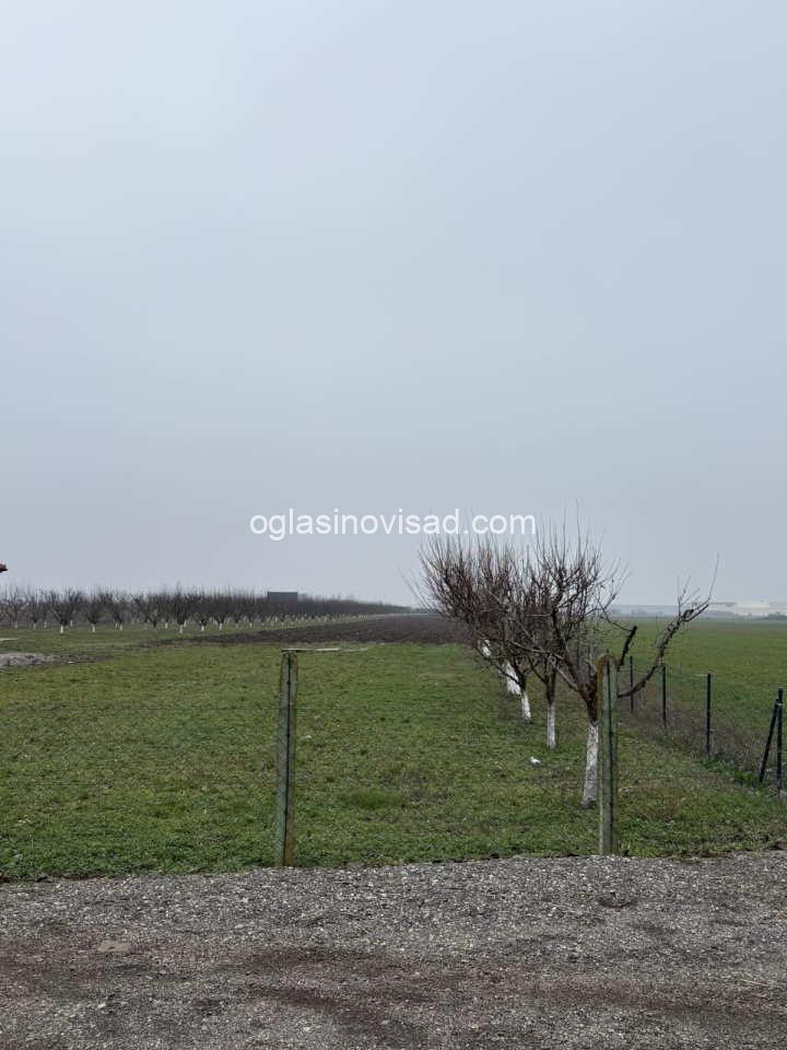 ugrinovci1