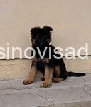 viber_image_2026-02-22_10-28-50-508
