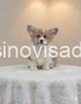 viber_image_2026-02-20_21-40-01-512