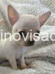 4Bcivava0326