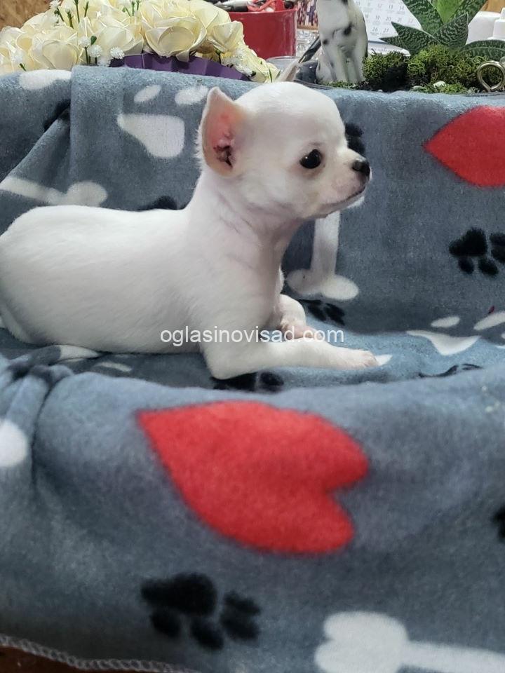 mini3