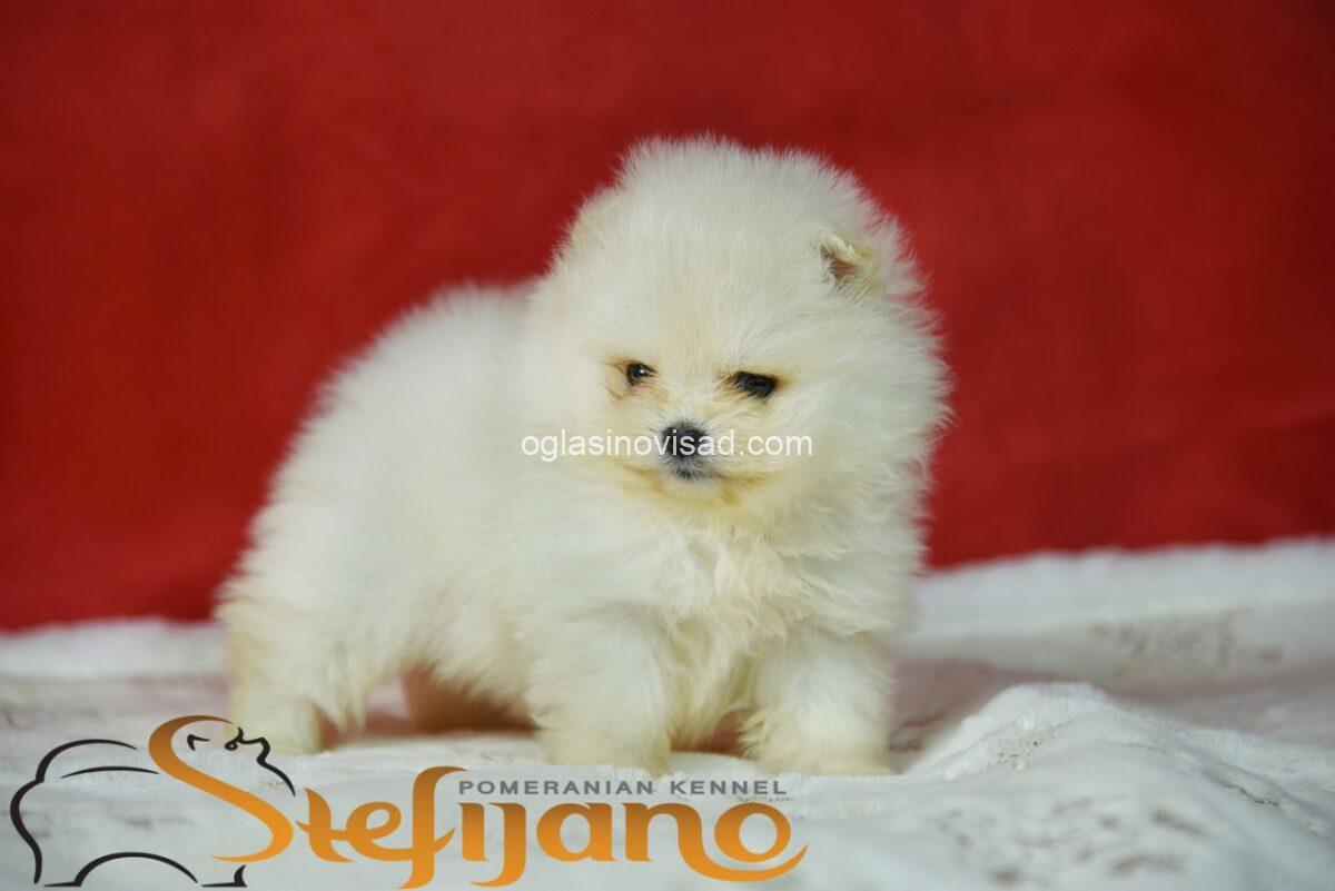 viber_image_2026-02-27_09-55-48-973