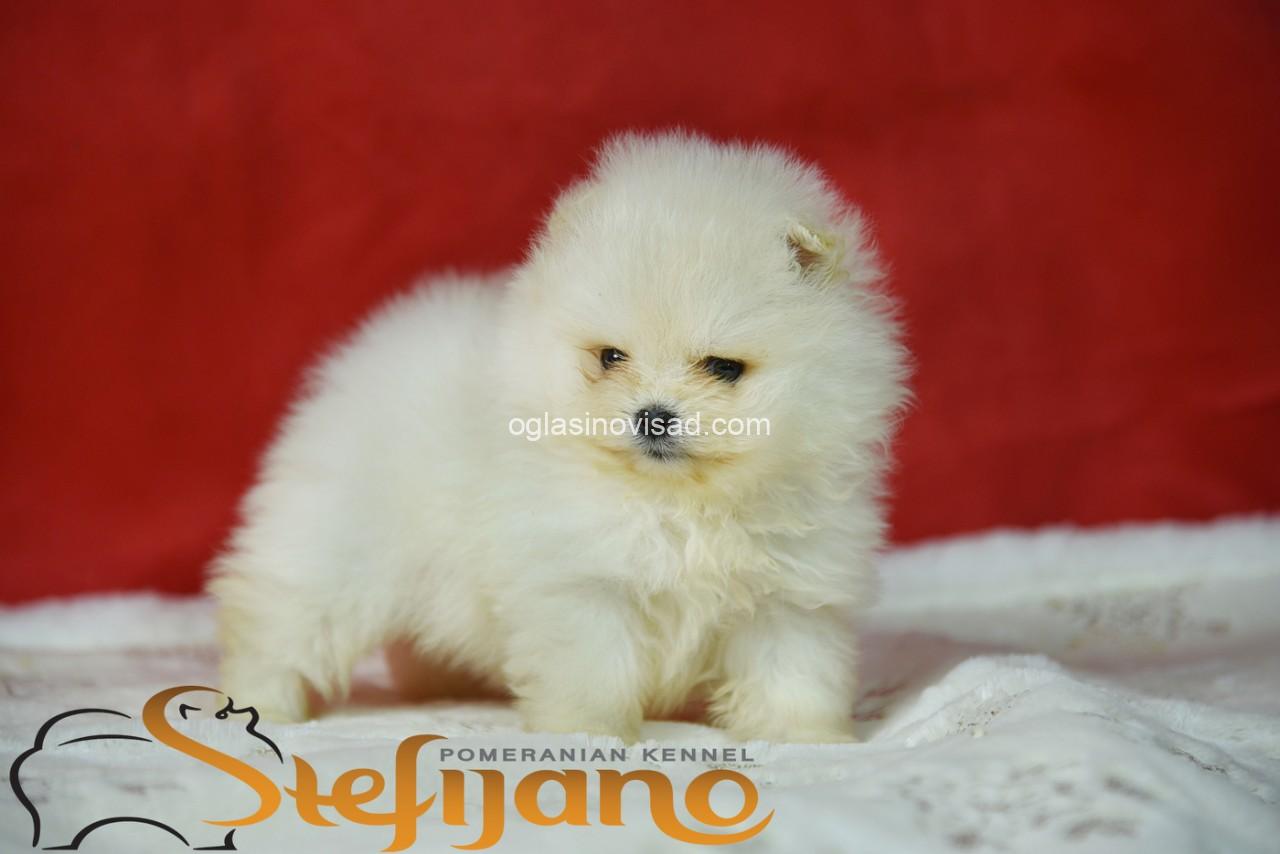 viber_image_2026-02-27_09-55-48-973