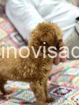viber_image_2026-03-28_10-38-58-769