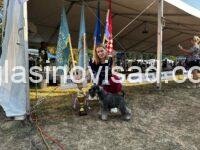 viber_image_2026-03-24_16-04-56-623
