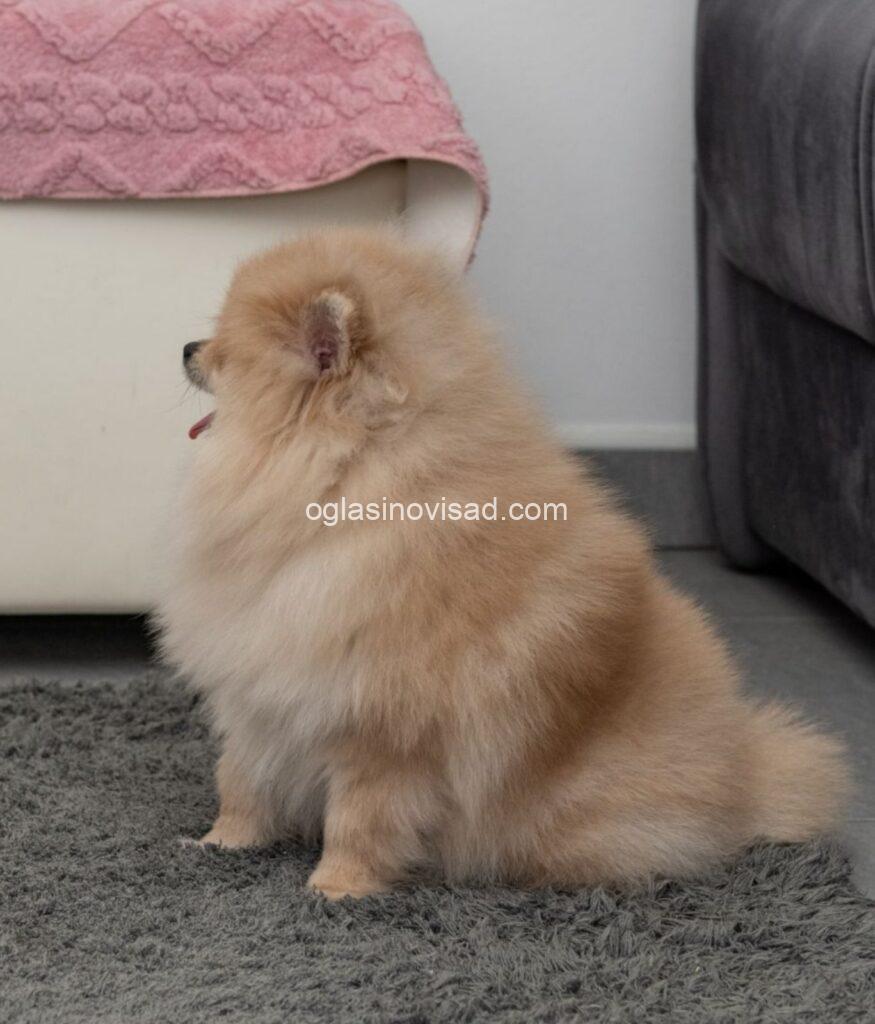 viber_image_2026-02-28_19-48-59-651-875x1024