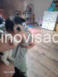 viber_image_2026-03-11_17-04-38-248