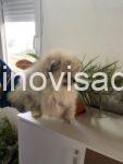 viber_image_2026-02-28_17-57-13-642