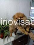 viber_image_2026-02-28_17-57-13-907