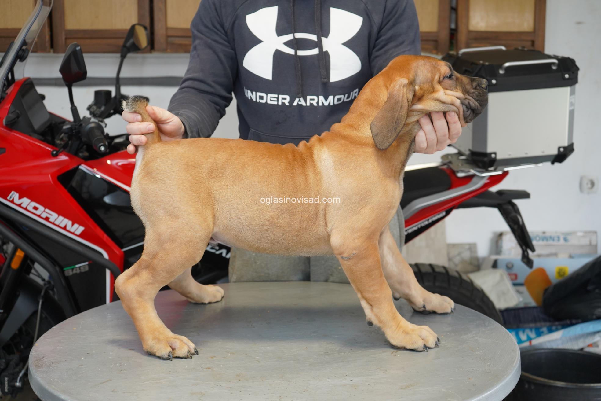 DSC03558