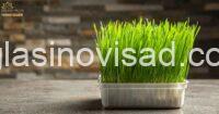 viber_slika_2026-03-27_14-11-44-039