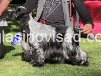 viber_image_2026-03-04_07-28-53-305