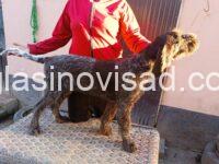 viber_image_2026-03-03_18-28-05-477
