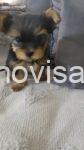 7af48373-d7fe-4659-9275-8fb63b9a67c1