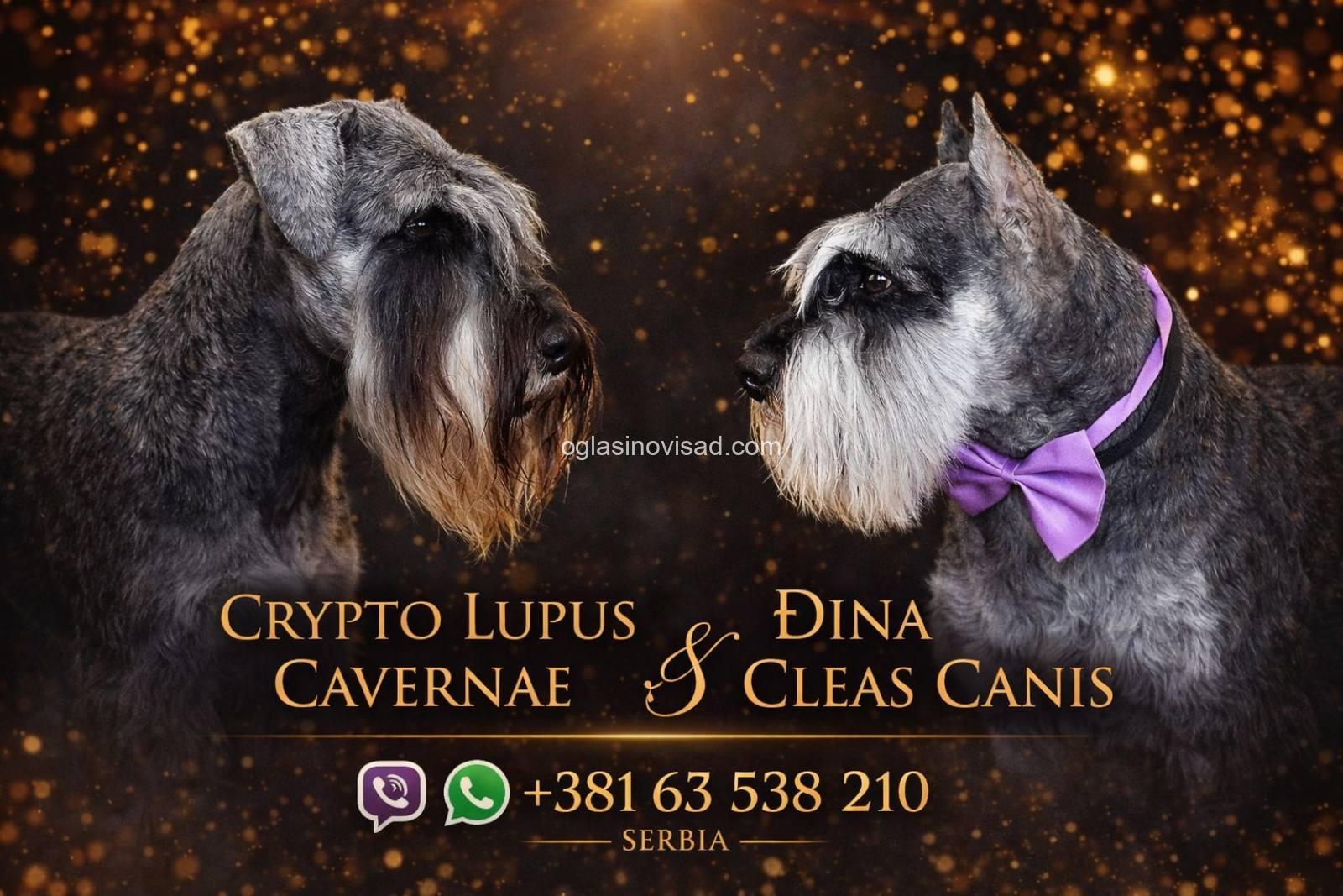 viber_image_2026-03-24_16-04-56-605