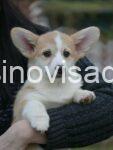 5b637319-ae3a-4ccd-a5fb-ec67d766c6c3