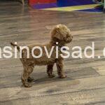viber_image_2026-03-28_10-39-04-110