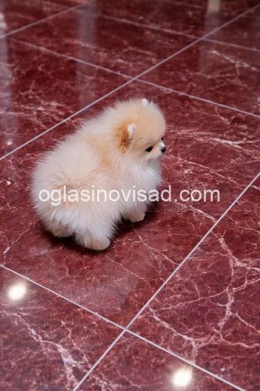 002 viber_slika_2026-04-14_12-57-33-877 manja