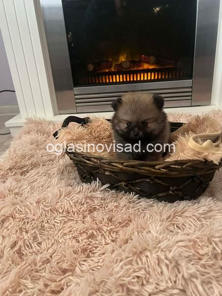 8Messenger_creation_D4B9A016-D95C-4BFA-95EB-10B465EF669F