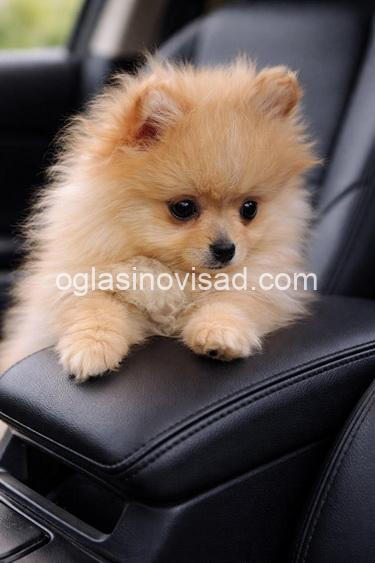 004 viber_slika_2026-04-14_12-57-33-955 manja