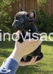 viber_image_2026-04-23_13-36-43-074