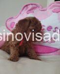 viber_image_2026-04-25_10-08-06-357