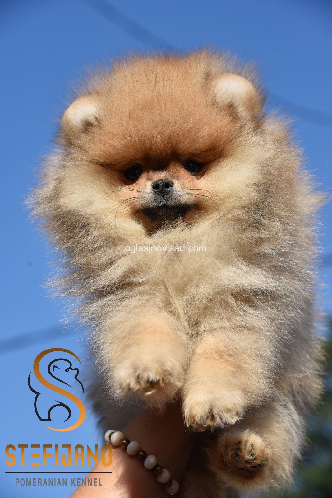 viber_image_2026-04-02_20-34-42-309