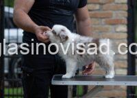 viber_image_2026-05-08_17-45-51-429