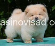 45bb020f-6548-468c-8fbf-42c02377a2de-1024x854