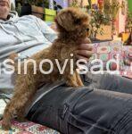 viber_image_2026-05-02_09-46-27-948
