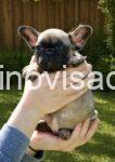 viber_image_2026-04-23_13-36-44-784-721x1024-1-1