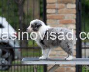 viber_image_2026-05-08_17-45-51-624