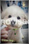 viber_image_2026-05-04_08-54-14-256