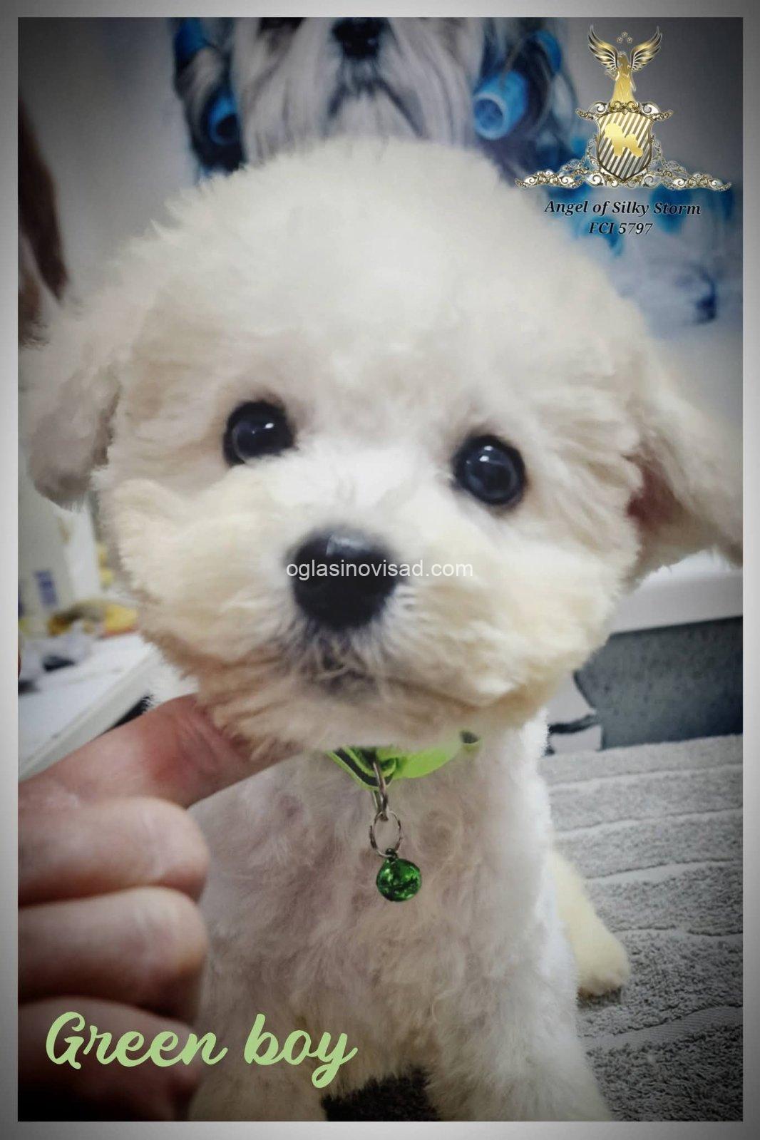 viber_image_2026-05-04_08-54-14-256