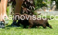 ad46ac9b-7e3b-4248-afea-9532d499a9af