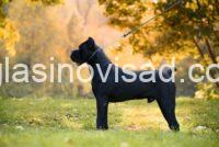 viber_image_2026-05-12_08-30-57-100